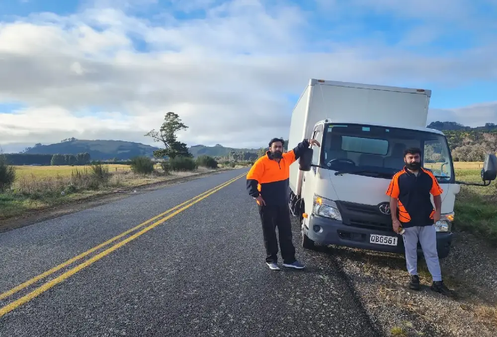 professional movers